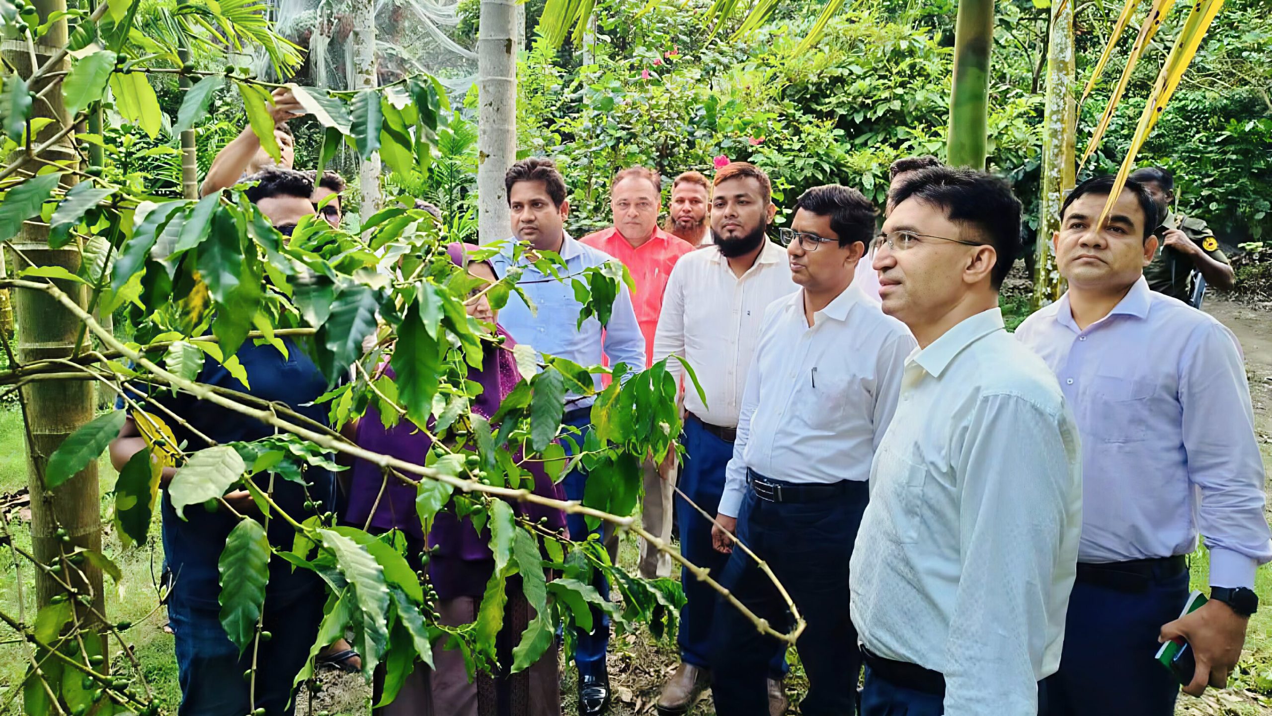 রাম্বুটান চাষে দৃষ্টান্ত নারী উদ্যোক্তা খাদিজা, পরিদর্শনে নীলফামারীর ডিসি